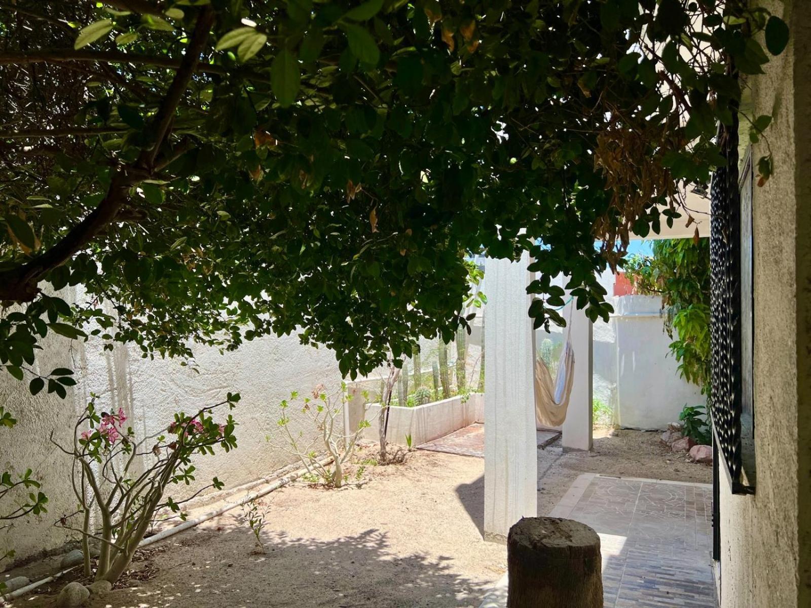 La Casa Del Pescador Apartment ลาปาซ ภายนอก รูปภาพ
