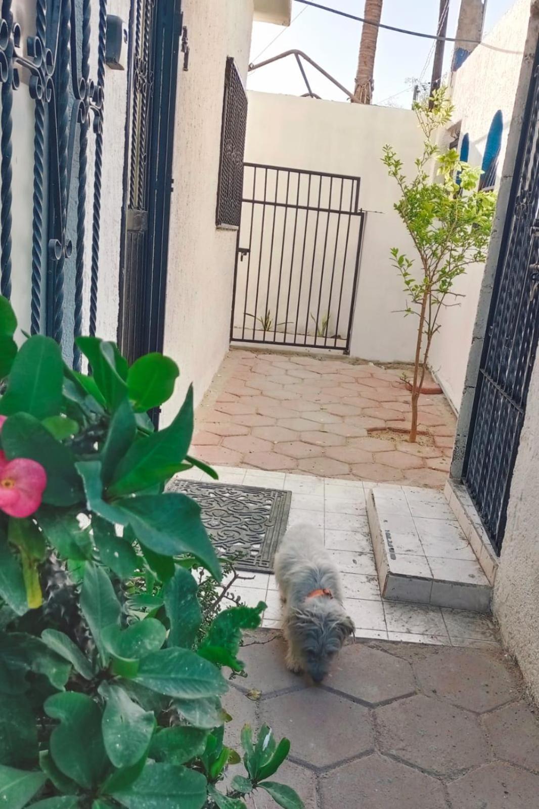 La Casa Del Pescador Apartment ลาปาซ ภายนอก รูปภาพ